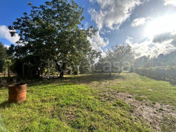 terreno agricolo in vendita ad Ariccia