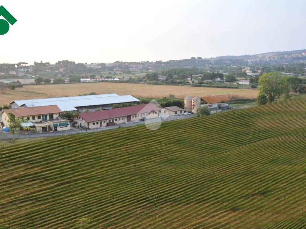 terreno agricolo in vendita ad Ariccia