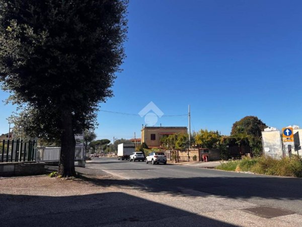 negozio in vendita ad Ariccia