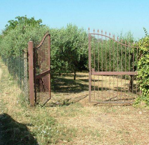 terreno agricolo in vendita ad Ariccia