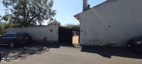 esavano in vendita ad Ariccia