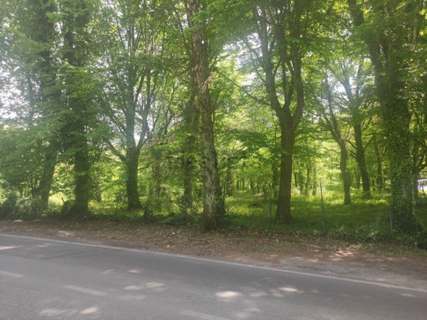 terreno edificabile in vendita ad Ariccia