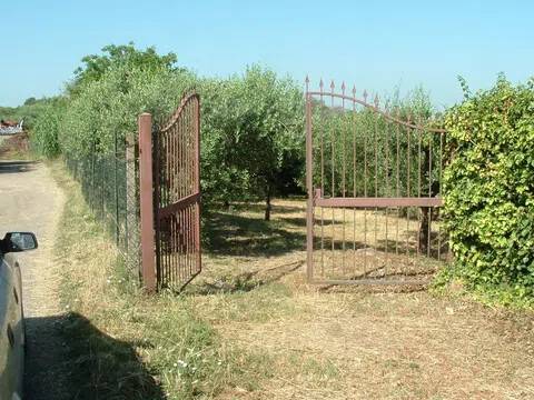 terreno in vendita ad Ariccia in zona Fontana di Papa
