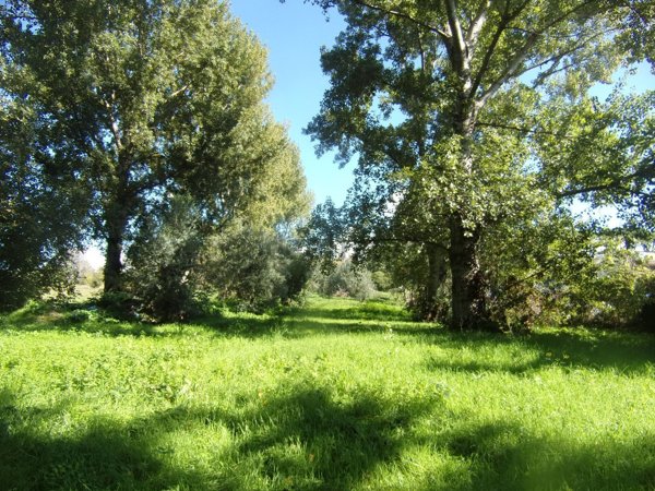 casa indipendente in vendita ad Ariccia