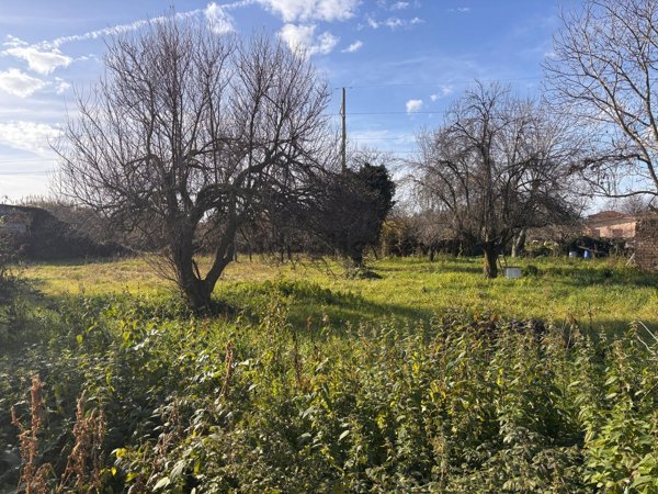 terreno agricolo in vendita ad Ariccia