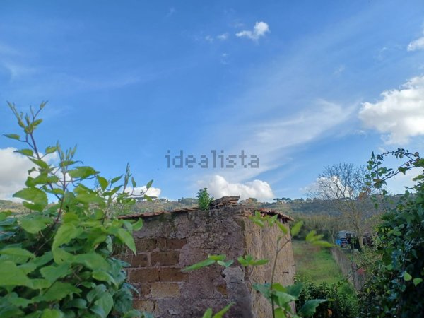 terreno agricolo in vendita ad Ariccia