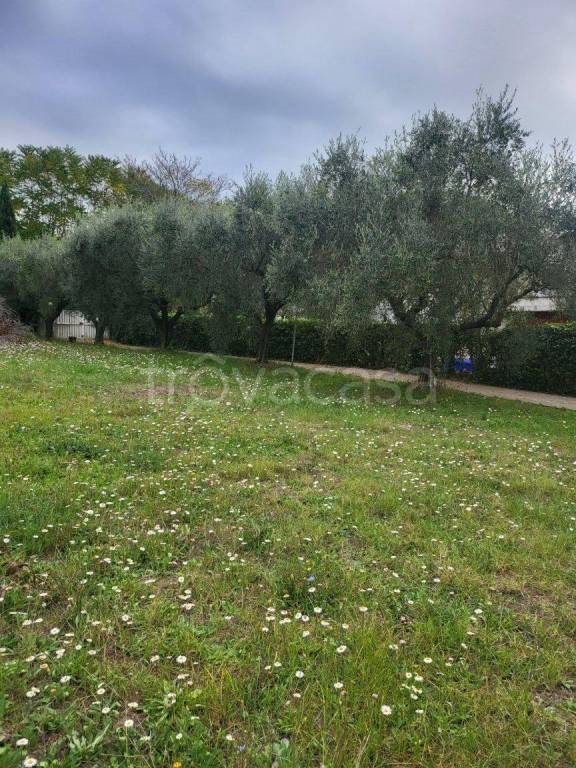 terreno edificabile in vendita ad Ariccia