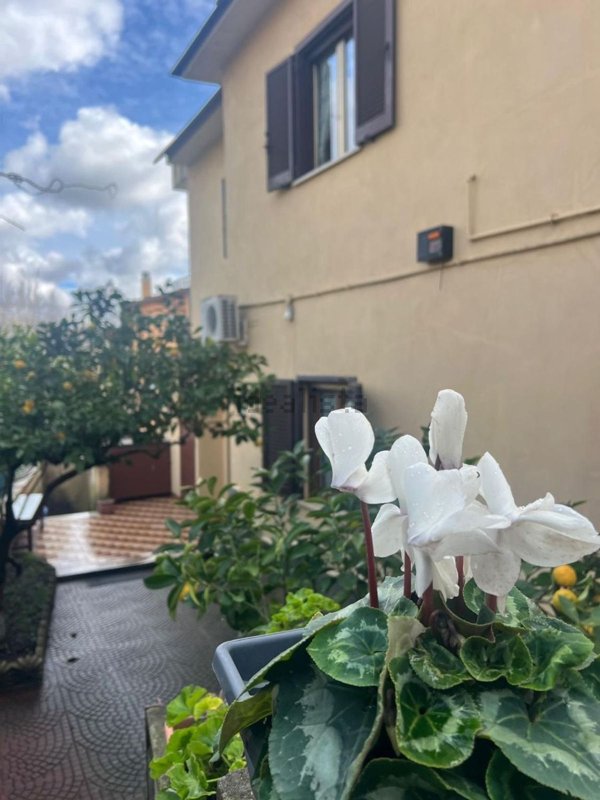 appartamento in vendita ad Ariccia in zona Fontana di Papa
