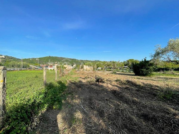 terreno agricolo in vendita ad Ariccia