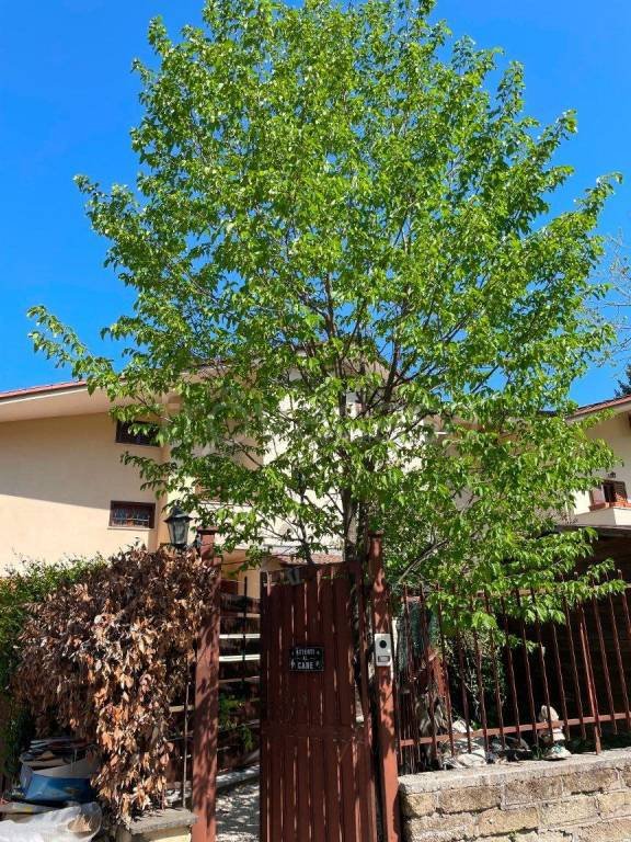 appartamento in vendita ad Ariccia