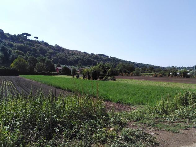 terreno agricolo in vendita ad Ariccia