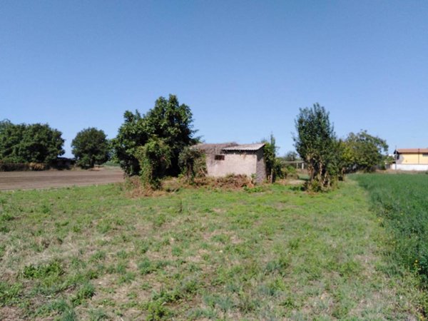 terreno agricolo in vendita ad Ariccia