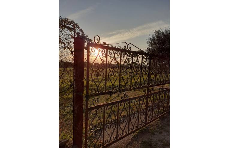terreno agricolo in vendita ad Ariccia