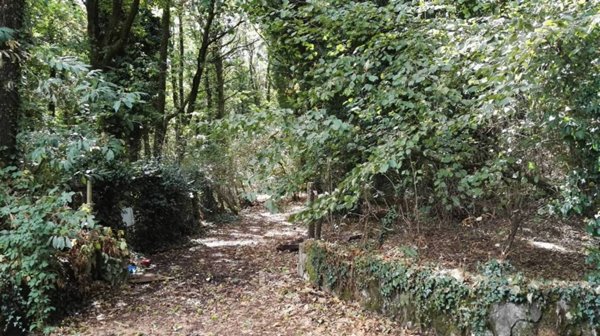 terreno in vendita ad Ariccia