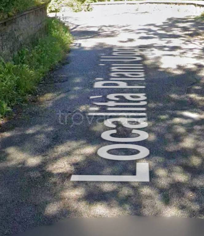 immagine annuncio 0 di 14