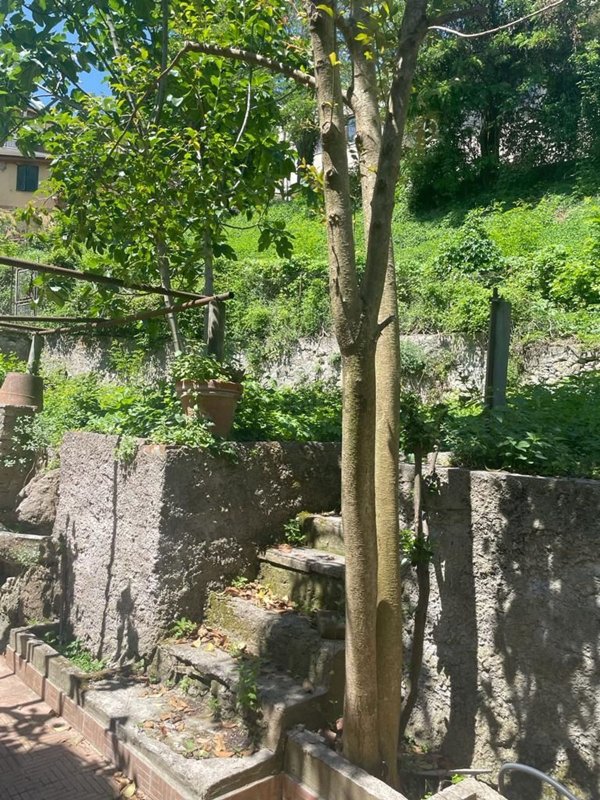 appartamento in vendita ad Arsoli