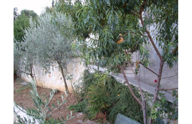 casa indipendente in vendita ad Arsoli