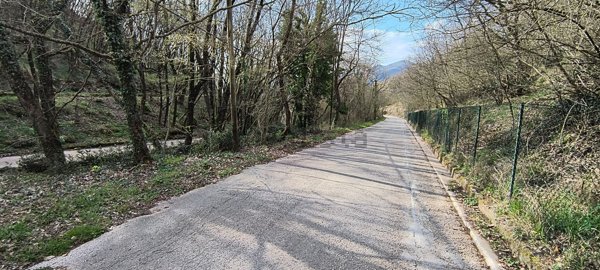 pentavano in vendita ad Arsoli