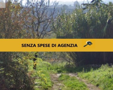 casa indipendente in vendita ad Artena in zona Valli