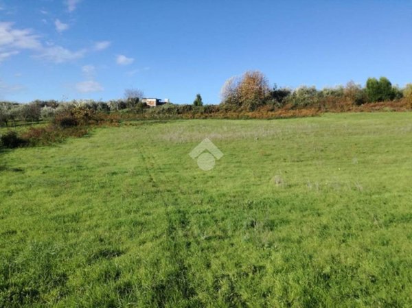 terreno agricolo in vendita ad Artena in zona Colubro
