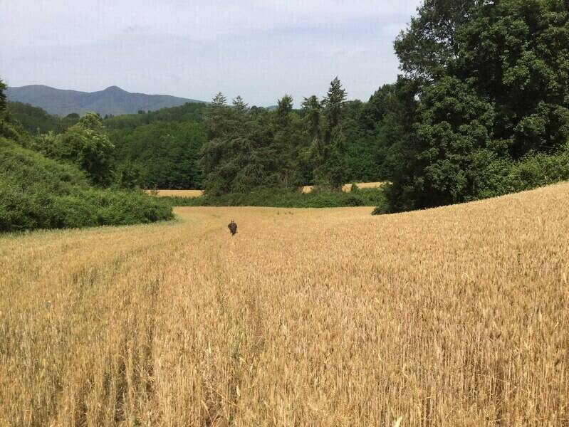 terreno agricolo in vendita ad Artena in zona Colubro
