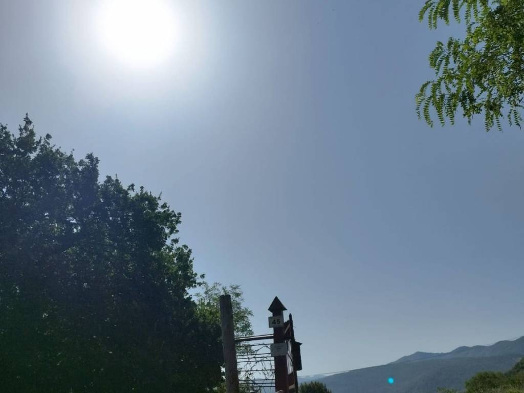 terreno agricolo in vendita ad Artena in zona Maiotini
