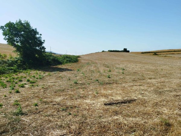 terreno agricolo in vendita ad Artena