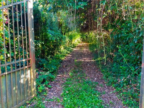 casa indipendente in vendita ad Artena in zona Macere