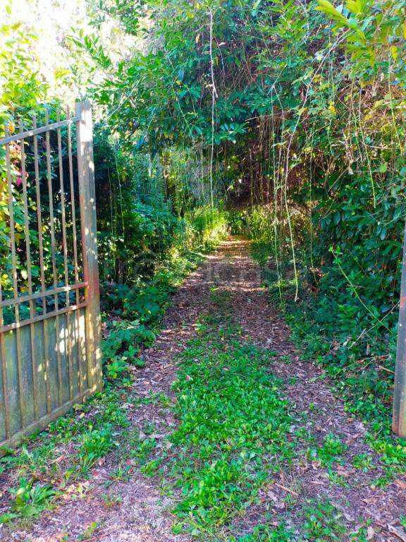 casa indipendente in vendita ad Artena in zona Macere