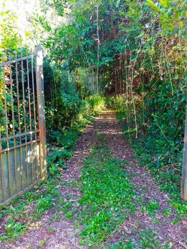 appartamento in vendita ad Artena