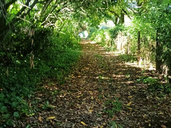 locale commerciale in vendita ad Artena in zona Macere