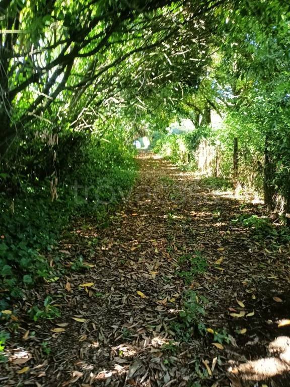 locale commerciale in vendita ad Artena in zona Macere