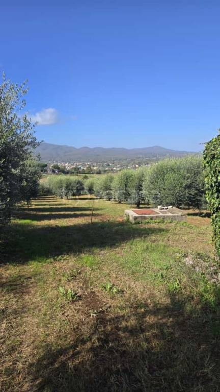 terreno agricolo in vendita ad Artena