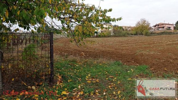 terreno agricolo in vendita ad Artena in zona Valli