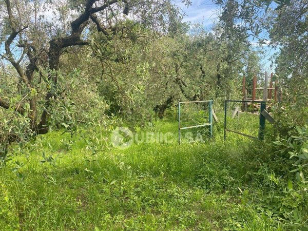 terreno agricolo in vendita ad Artena in zona Macere