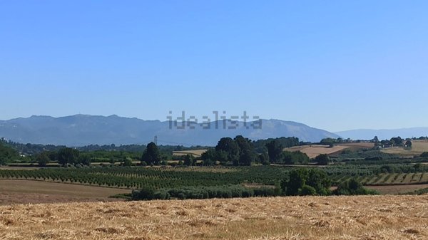 casa indipendente in vendita ad Artena