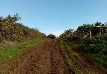 terreno agricolo in vendita ad Artena