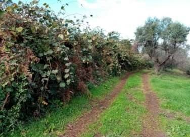 appartamento in vendita ad Artena