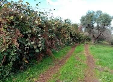 appartamento in vendita ad Artena