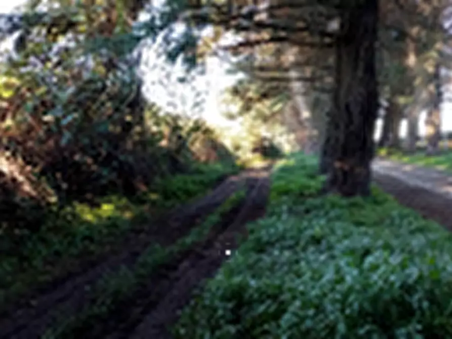 terreno agricolo in vendita ad Artena