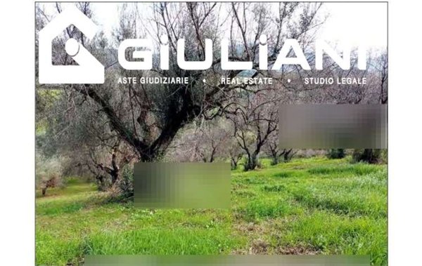 casa indipendente in vendita ad Artena