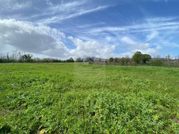 terreno agricolo in vendita ad Artena