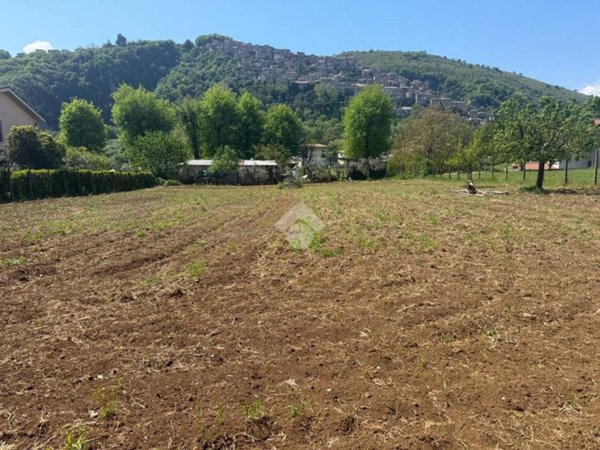 terreno agricolo in vendita ad Artena in zona Valli