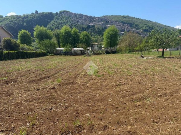 terreno agricolo in vendita ad Artena in zona Valli