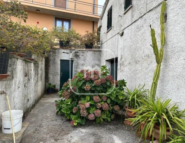 casa indipendente in vendita ad Artena in zona Selvatico