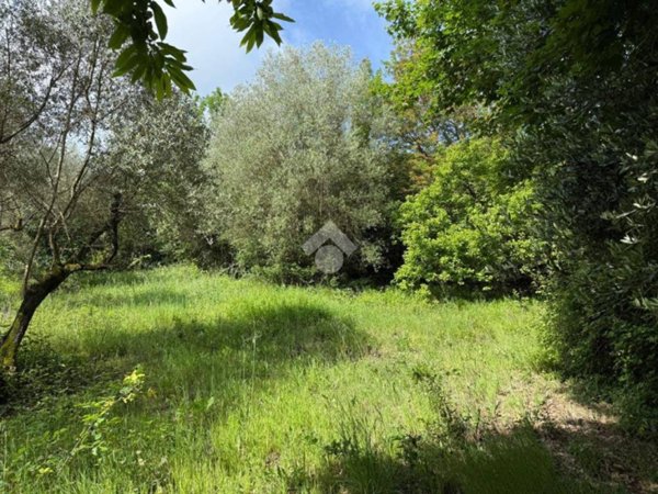 terreno agricolo in vendita ad Artena