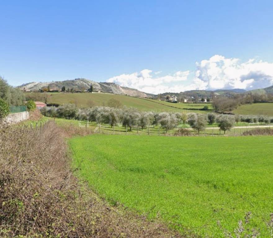 terreno agricolo in vendita ad Artena