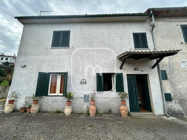 casa indipendente in vendita ad Artena in zona Selvatico