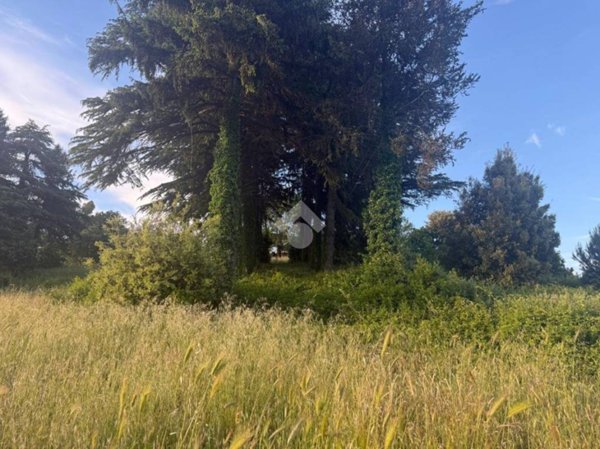 terreno agricolo in vendita ad Artena in zona Colubro