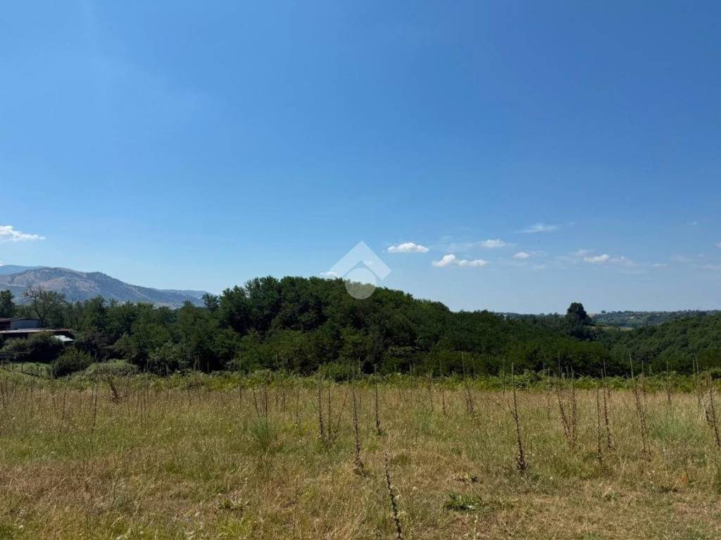 immagine annuncio 0 di 7